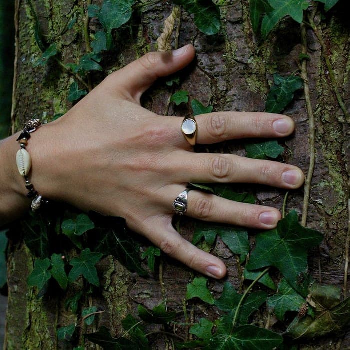 A hand resting on the ivy-covered bark of a tree